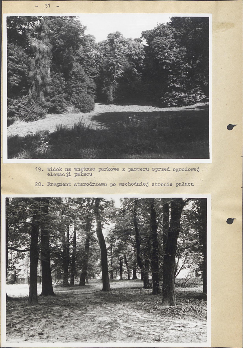 EP - Ewidencja parkowa, skan nr 38
