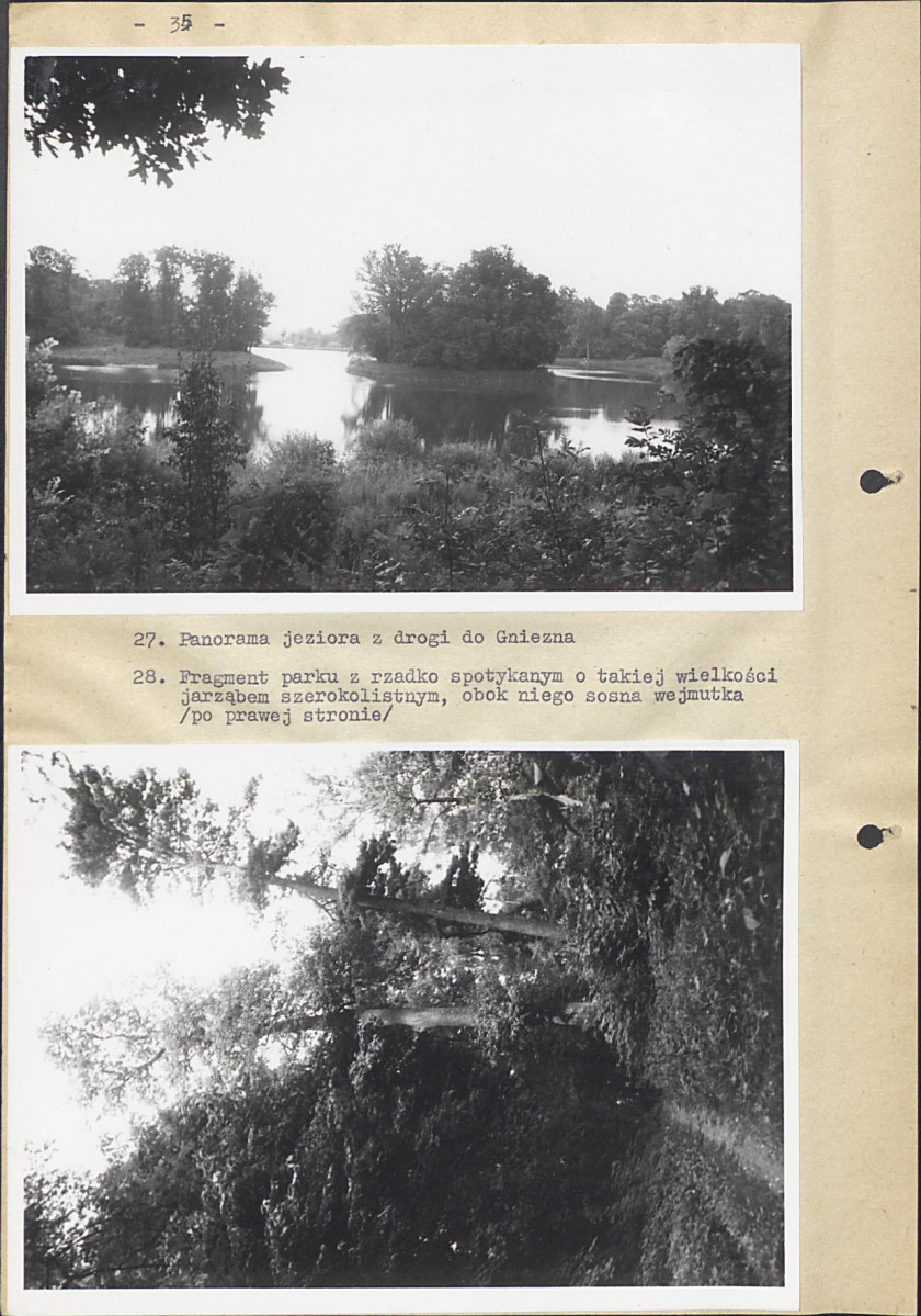 EP - Ewidencja parkowa, skan nr 42