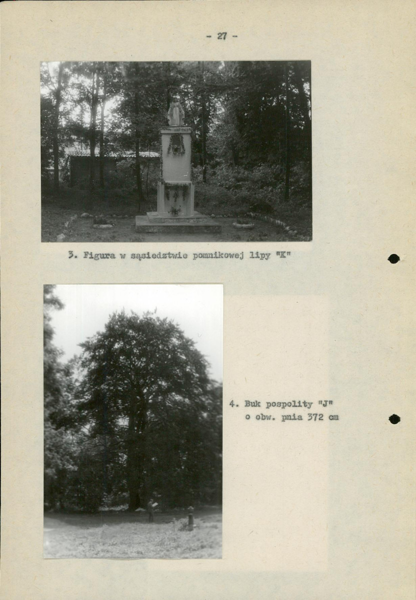 Ewidencja parkowa, skan nr 35