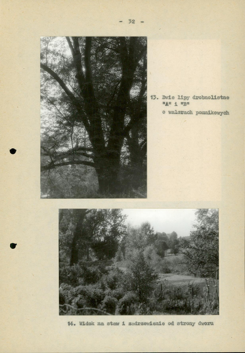 Ewidencja parkowa, skan nr 40