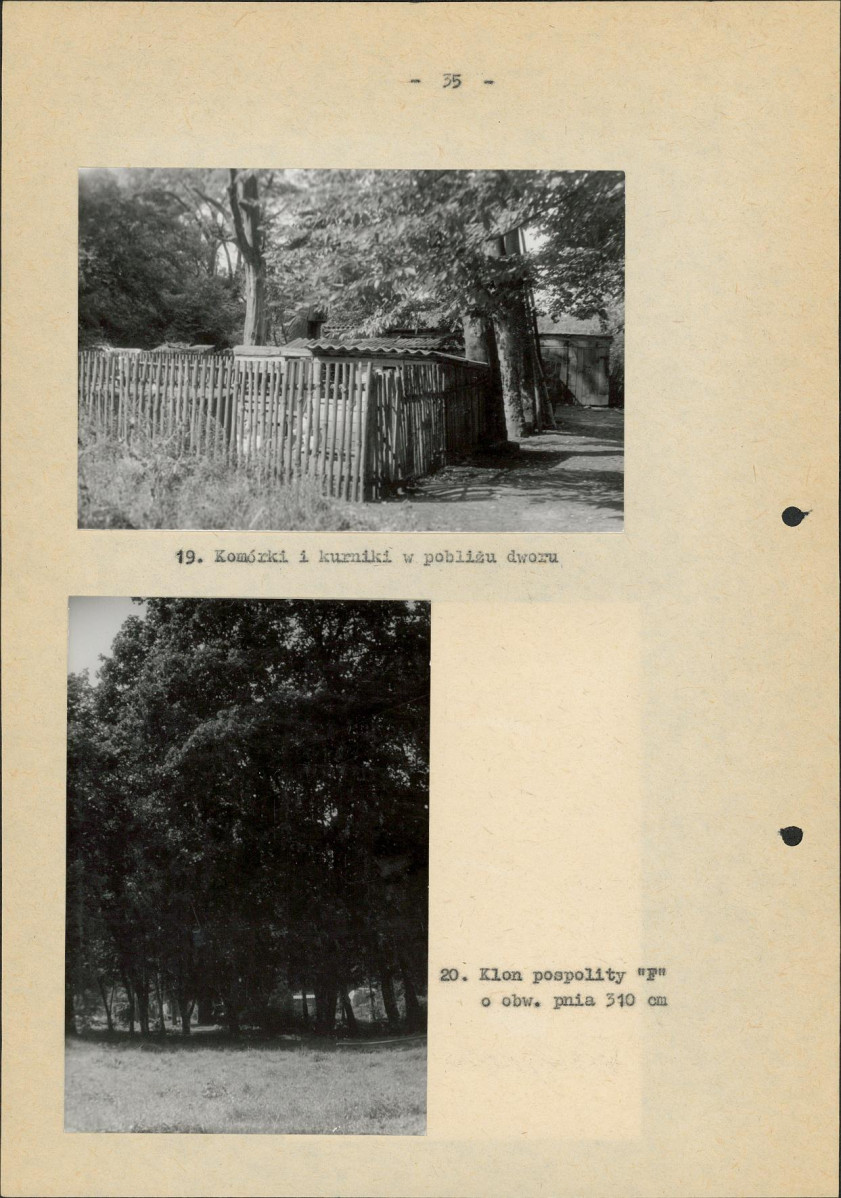 Ewidencja parkowa, skan nr 43