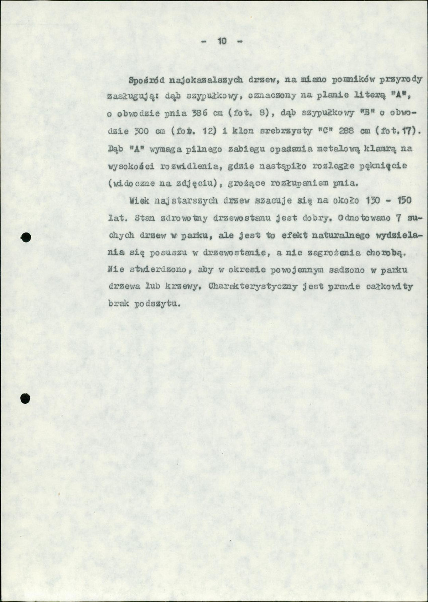 Ewidencja parkowa, skan nr 17