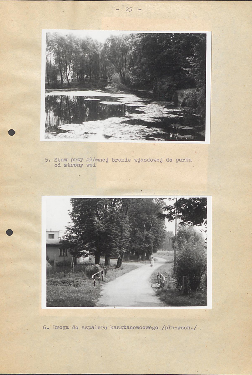 Ewidencja parkowa, skan nr 31