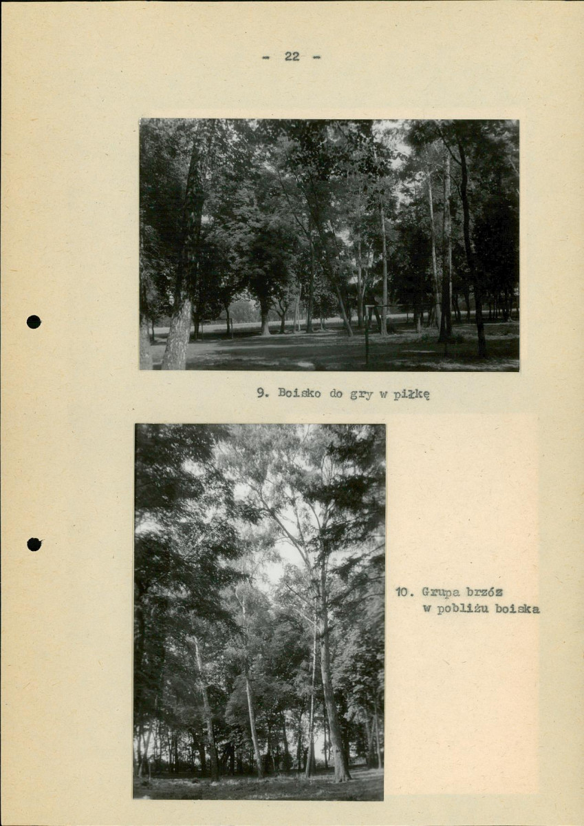 Ewidencja parkowa, skan nr 29