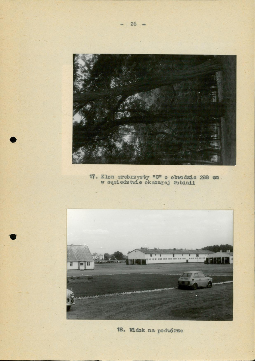 Ewidencja parkowa, skan nr 33