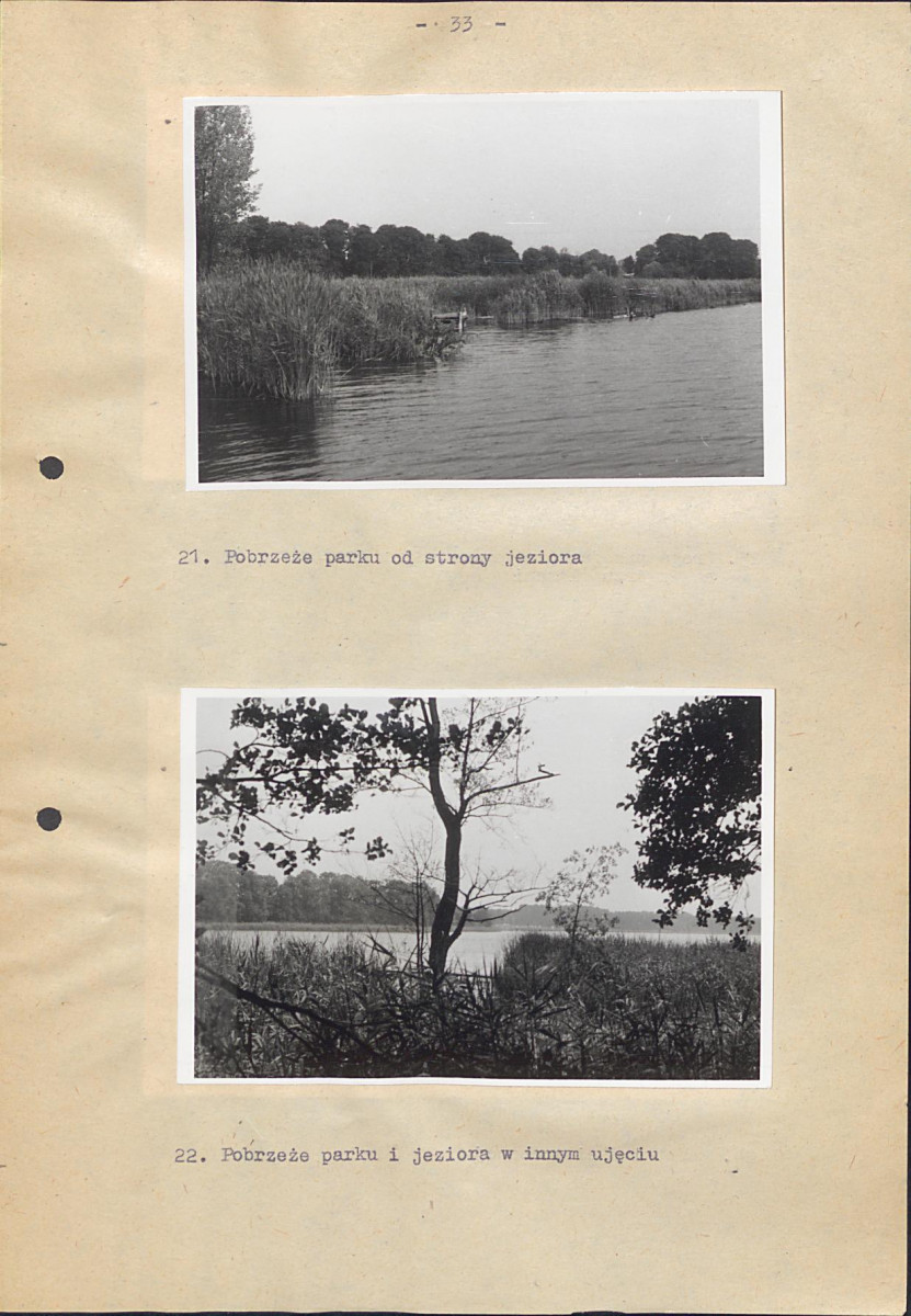 Ewidencja parkowa, skan nr 39