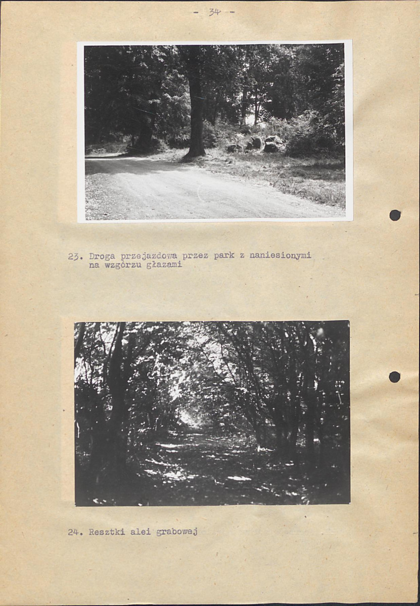 Ewidencja parkowa, skan nr 40