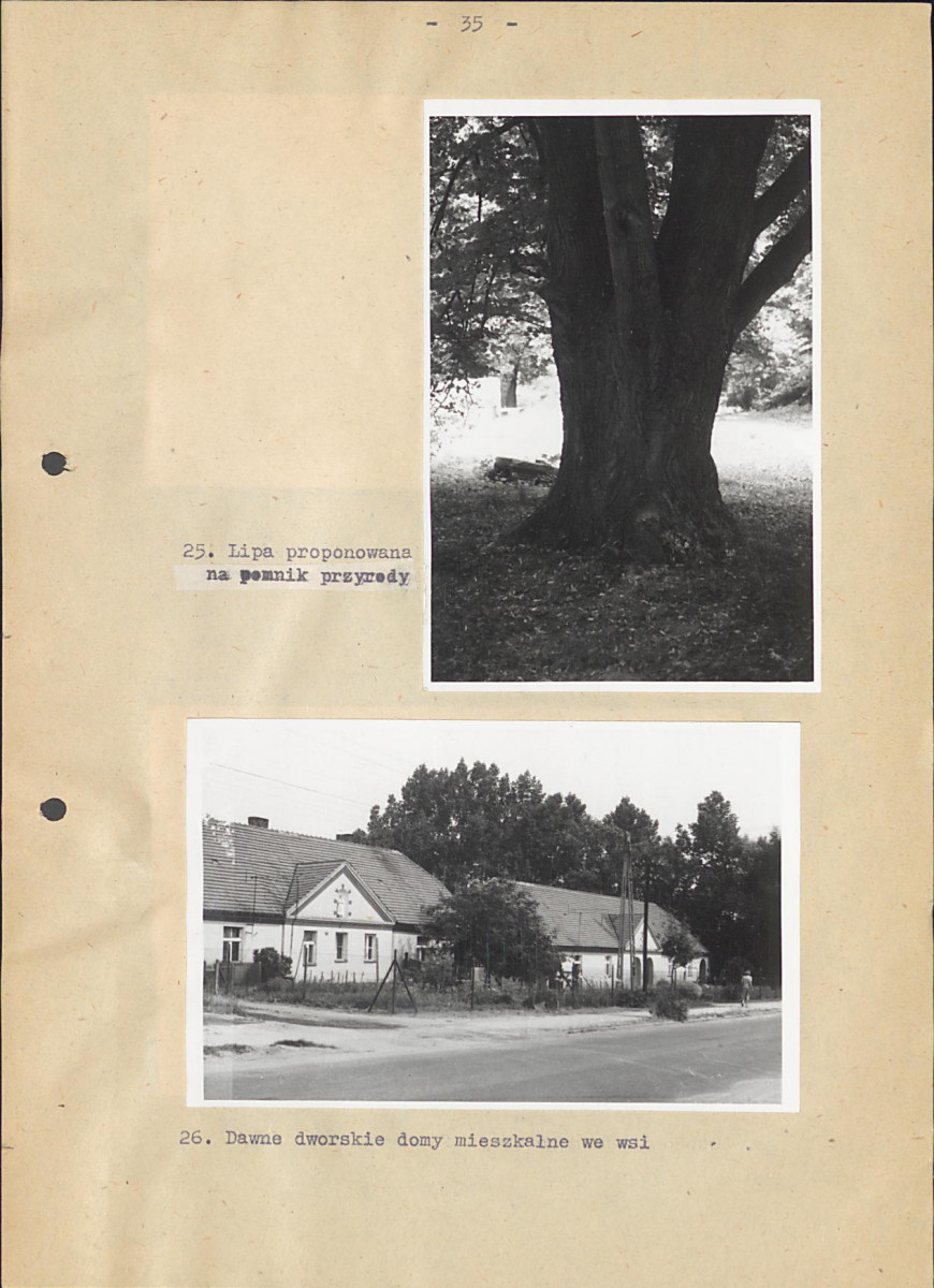 Ewidencja parkowa, skan nr 41