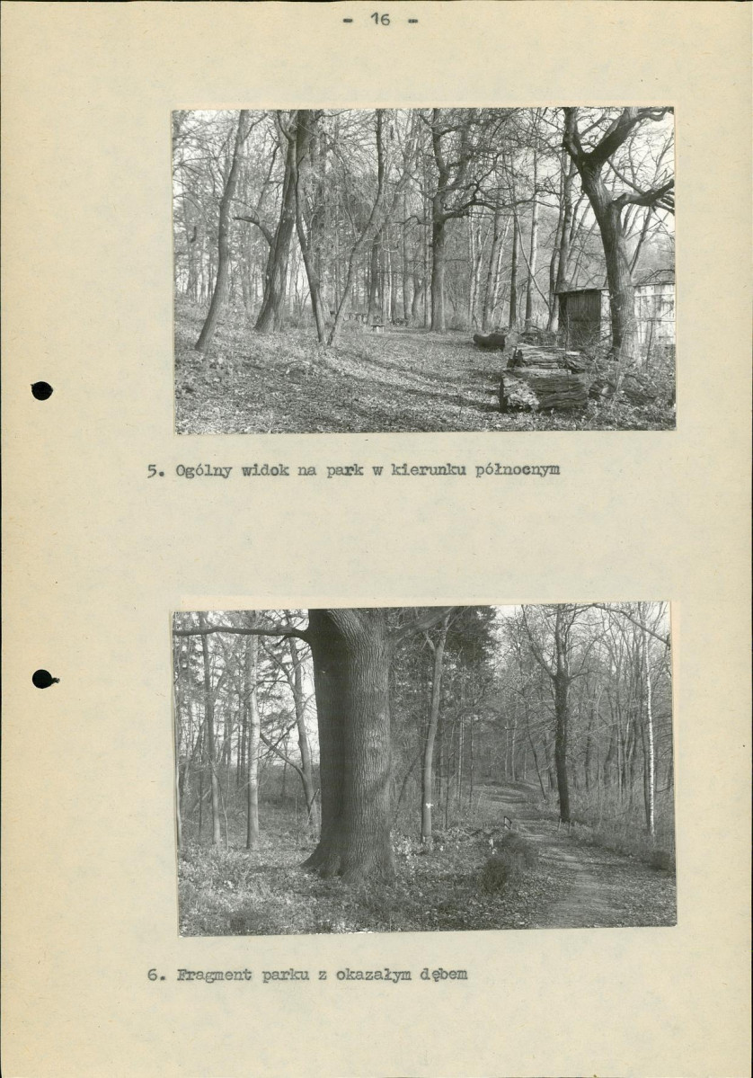 Ewidencja parkowa, skan nr 22