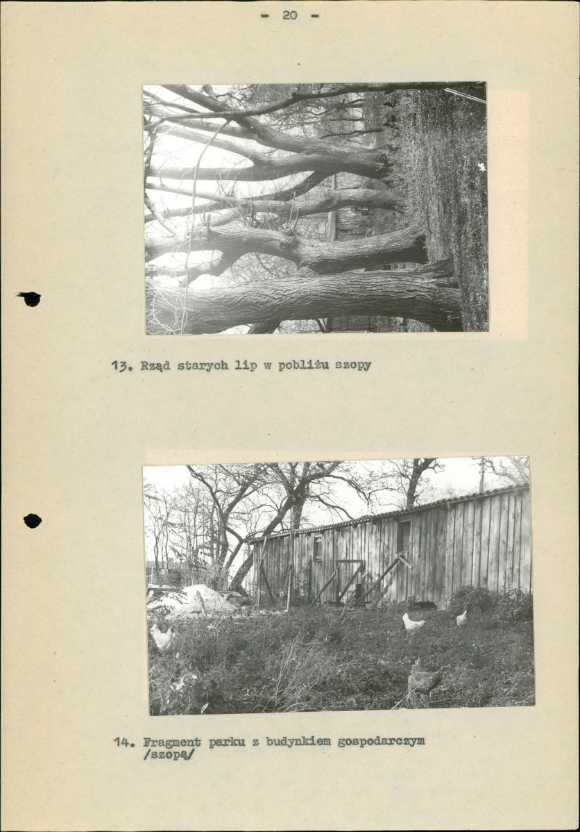 Ewidencja parkowa, skan nr 26