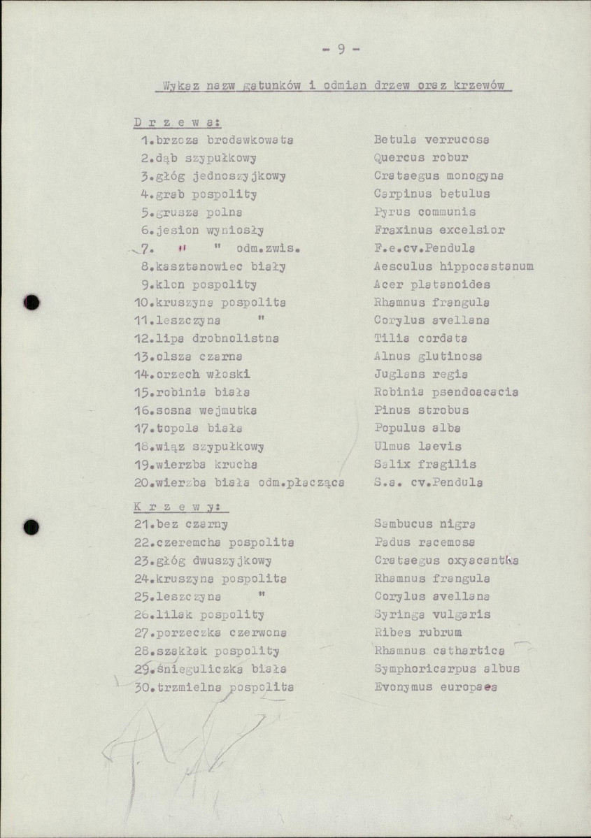 EP - Ewidencja parkowa, skan nr 16