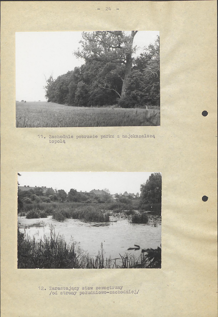 Ewidencja parkowa, skan nr 30