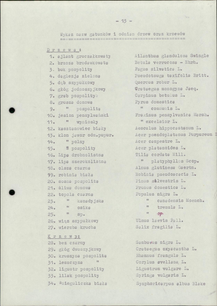 Ewidencja parkowa, skan nr 21