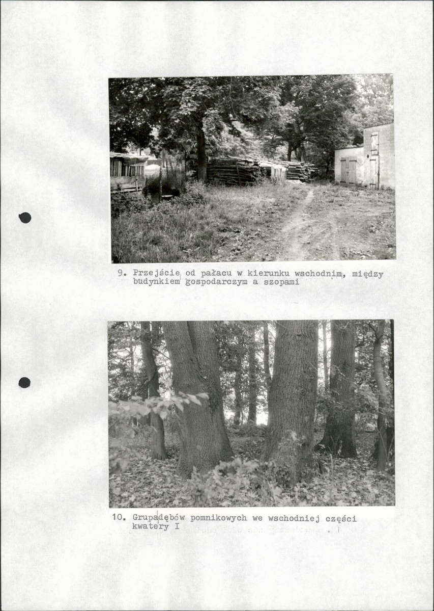 Ewidencja parkowa, skan nr 36