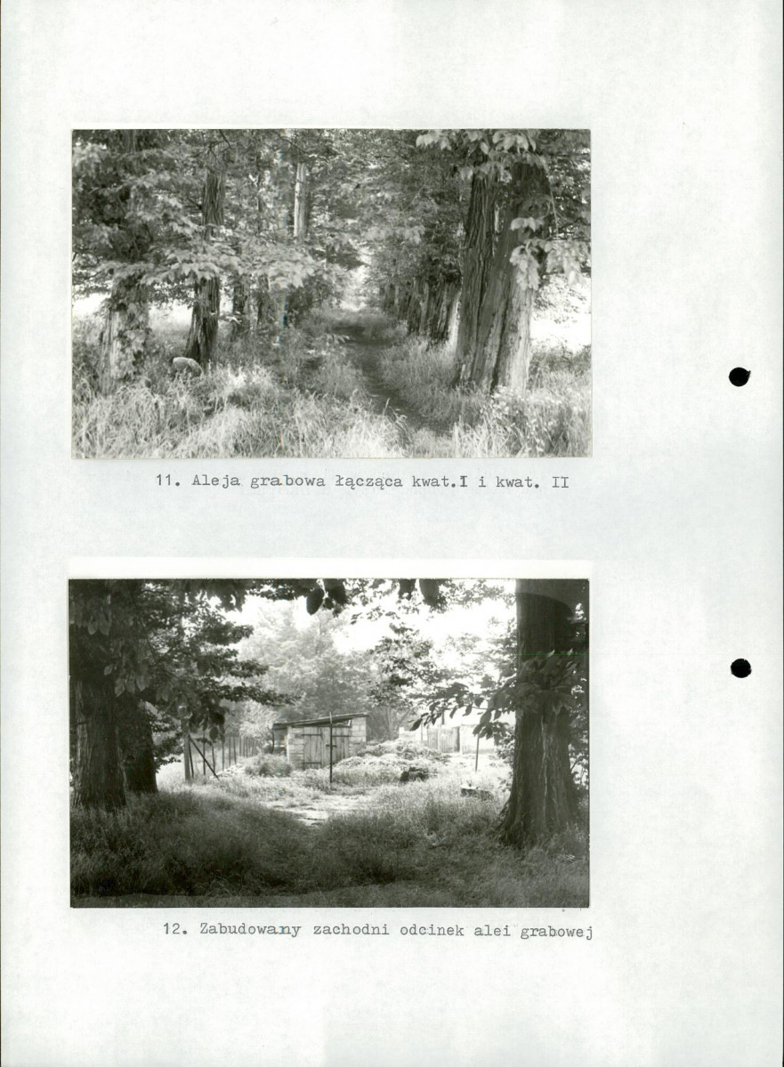 Ewidencja parkowa, skan nr 37