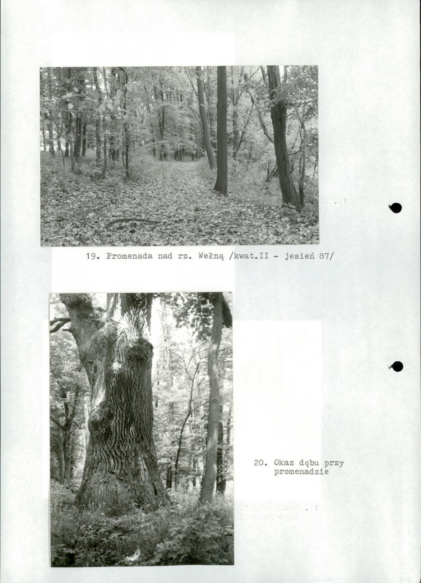 Ewidencja parkowa, skan nr 41
