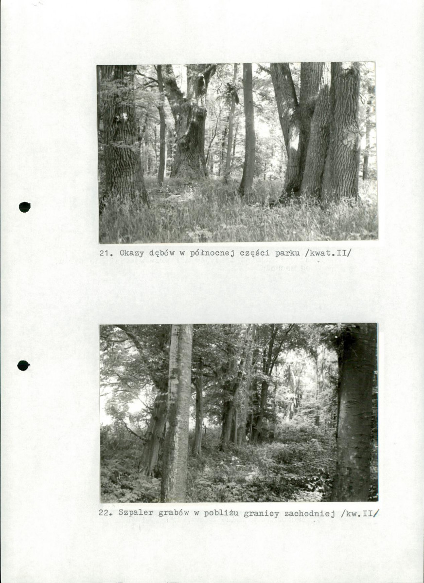 Ewidencja parkowa, skan nr 42