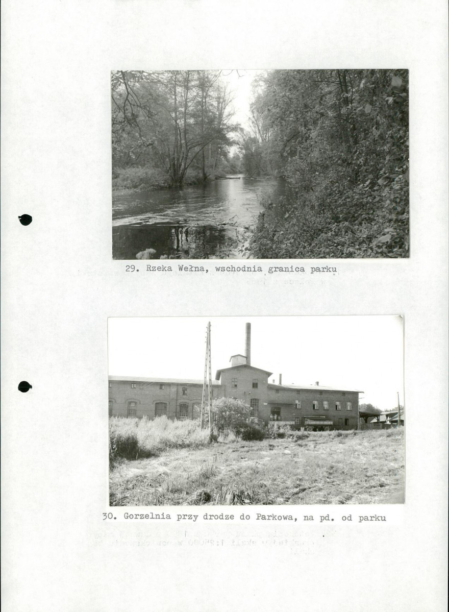 Ewidencja parkowa, skan nr 46