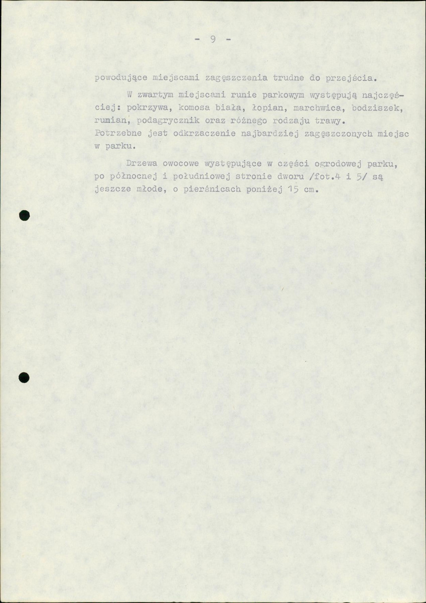 Ewidencja parkowa, skan nr 15