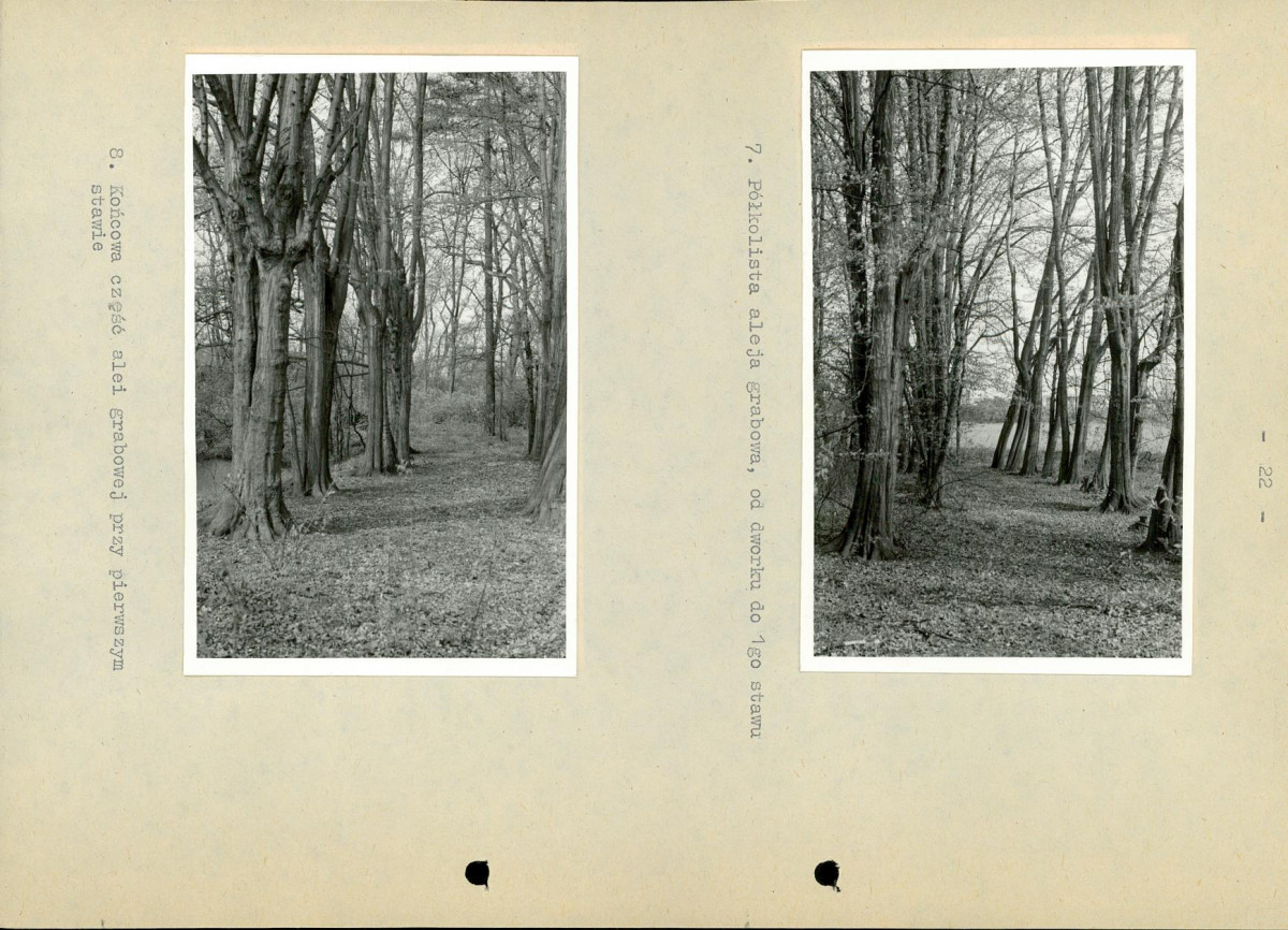 Ewidencja parkowa, skan nr 28