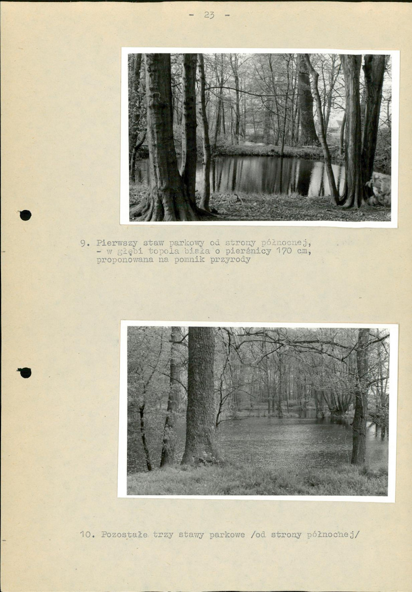 Ewidencja parkowa, skan nr 29