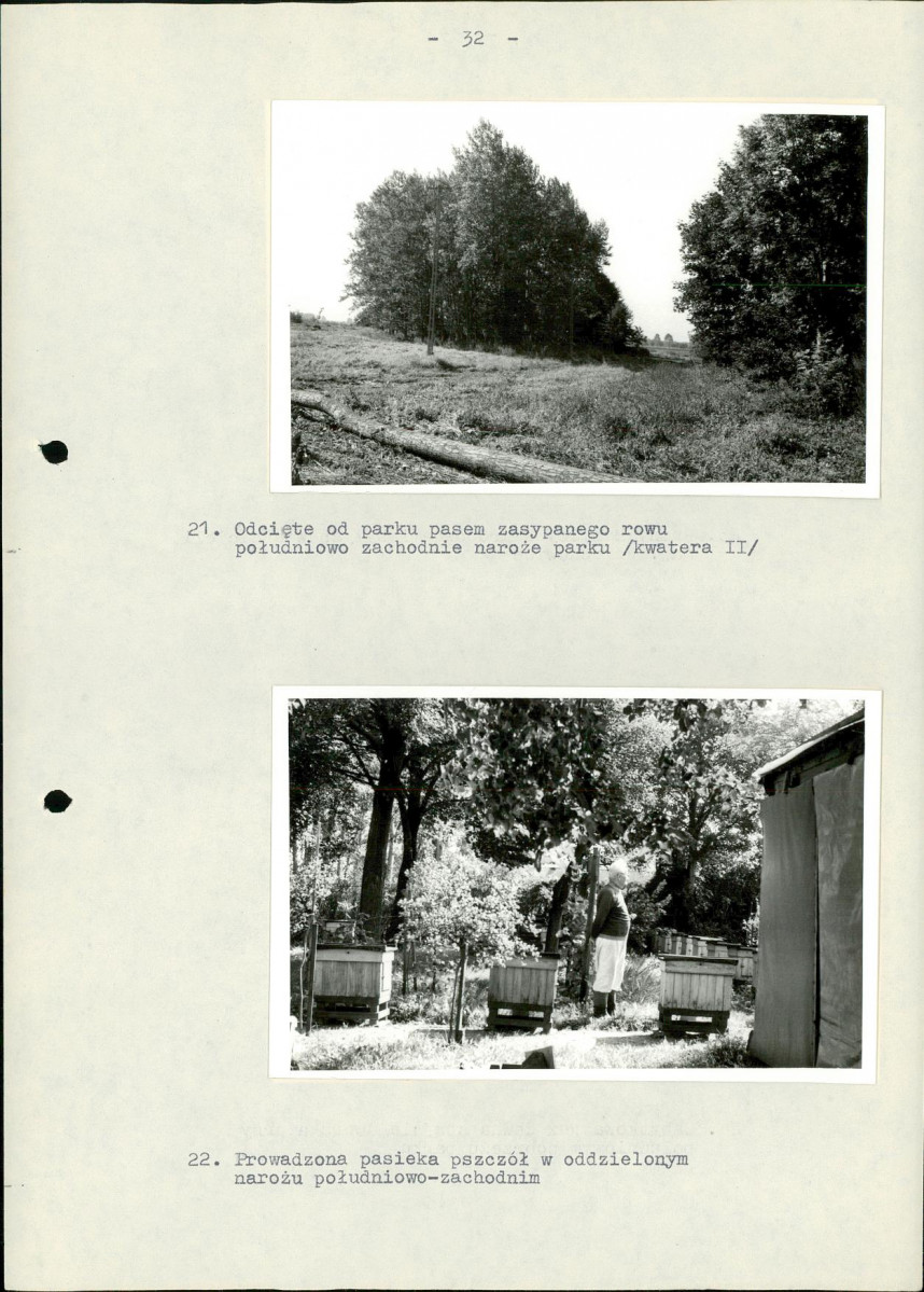 Ewidencja parkowa, skan nr 38