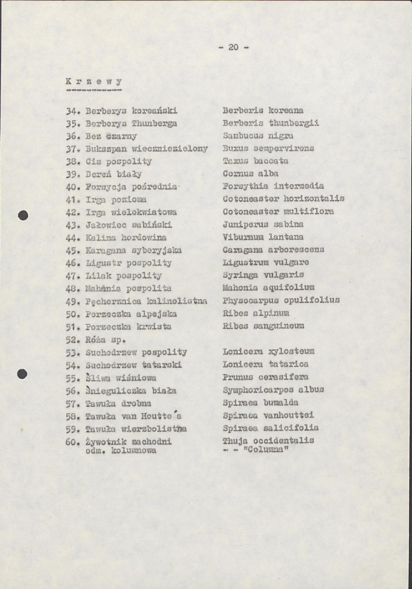 EP - Ewidencja parkowa, skan nr 26