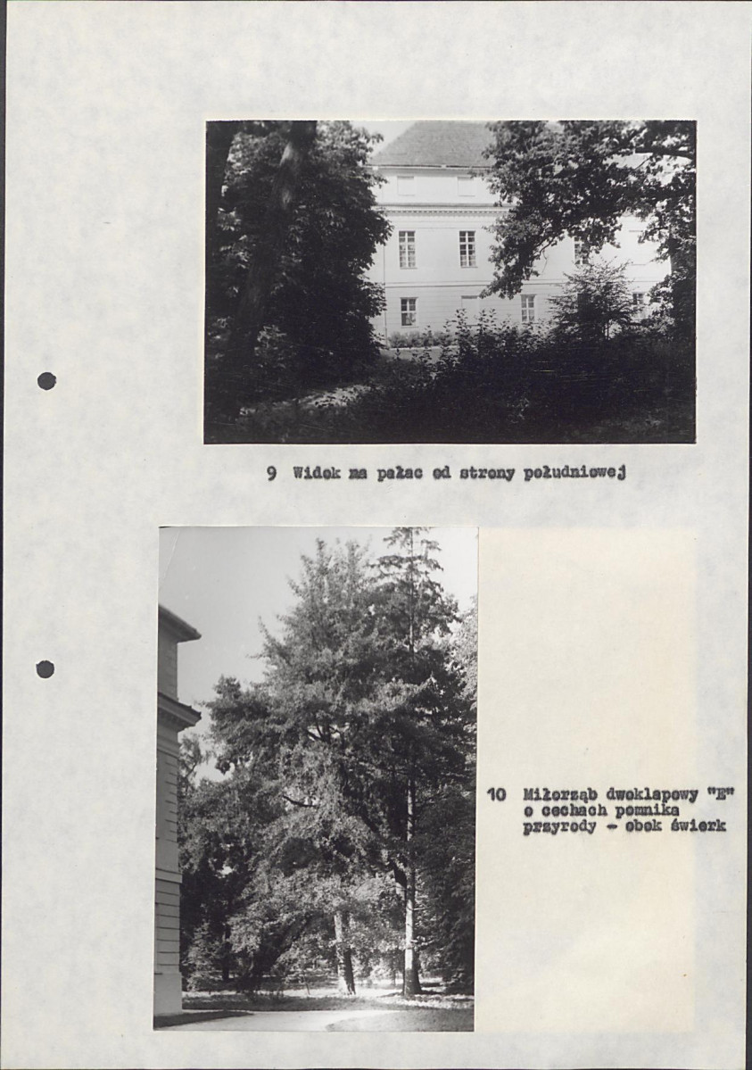 EP - Ewidencja parkowa, skan nr 38