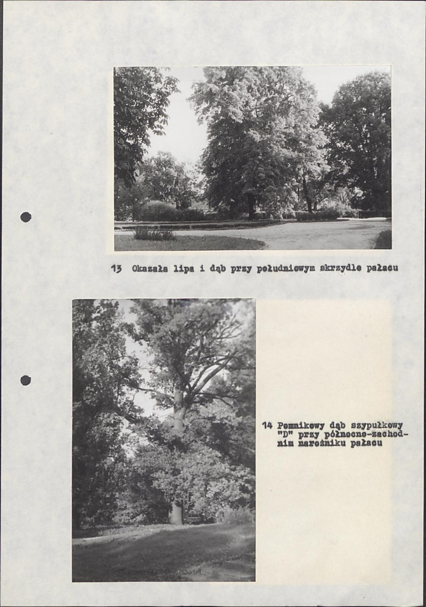 EP - Ewidencja parkowa, skan nr 40