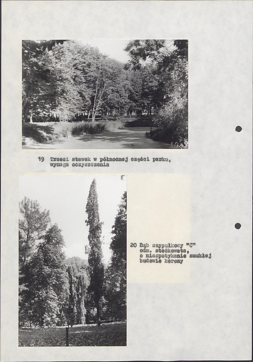 EP - Ewidencja parkowa, skan nr 43