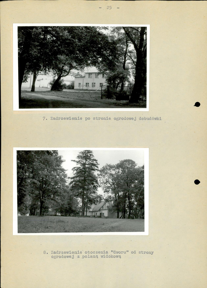 Ewidencja parkowa, skan nr 31