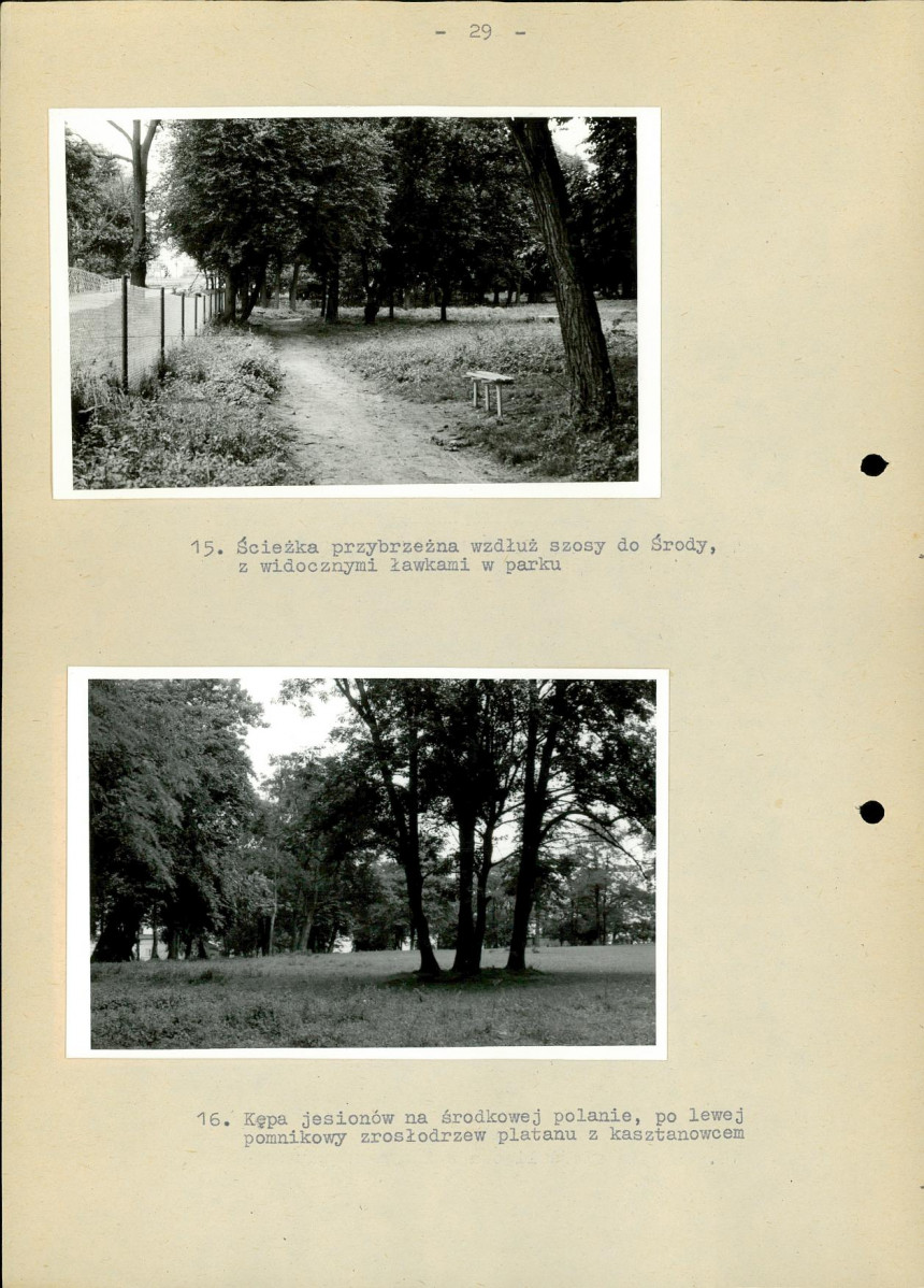 Ewidencja parkowa, skan nr 35