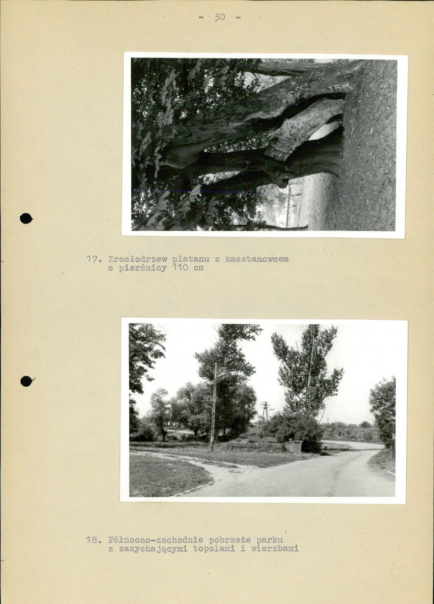 Ewidencja parkowa, skan nr 36