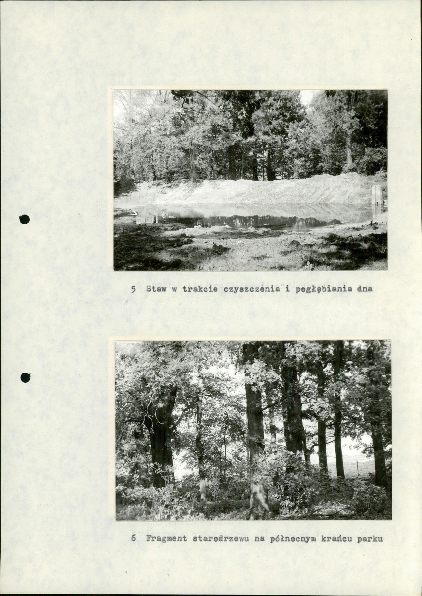 Ewidencja parkowa, skan nr 24