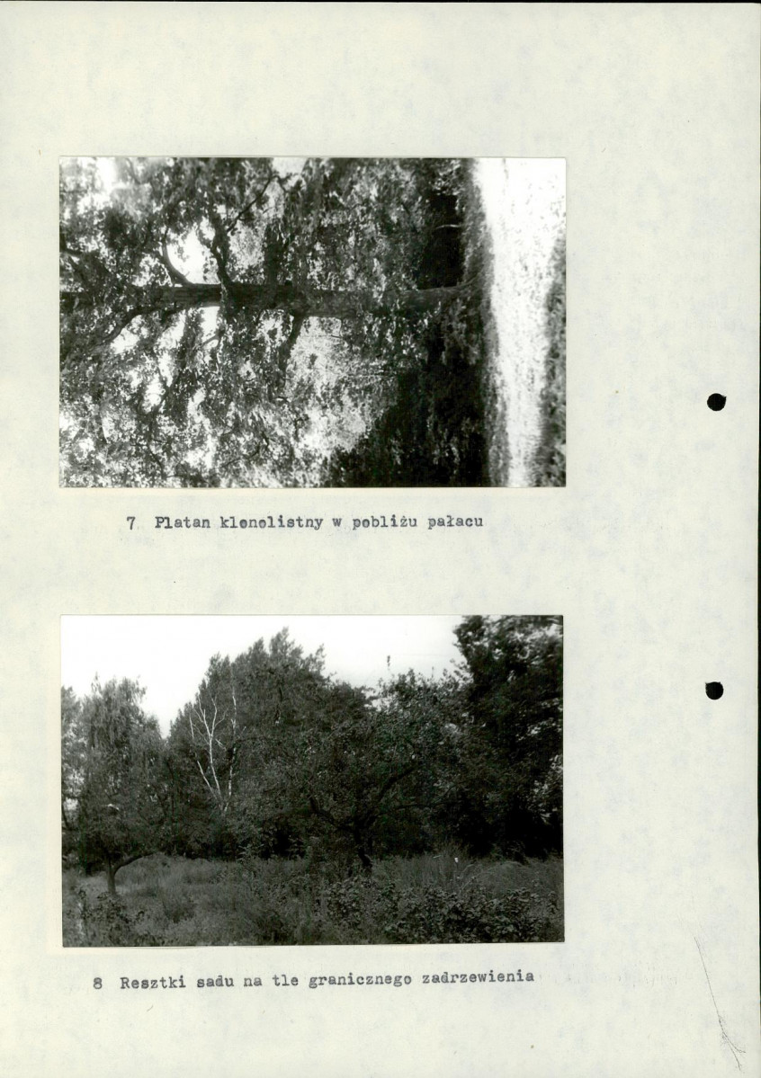 Ewidencja parkowa, skan nr 25