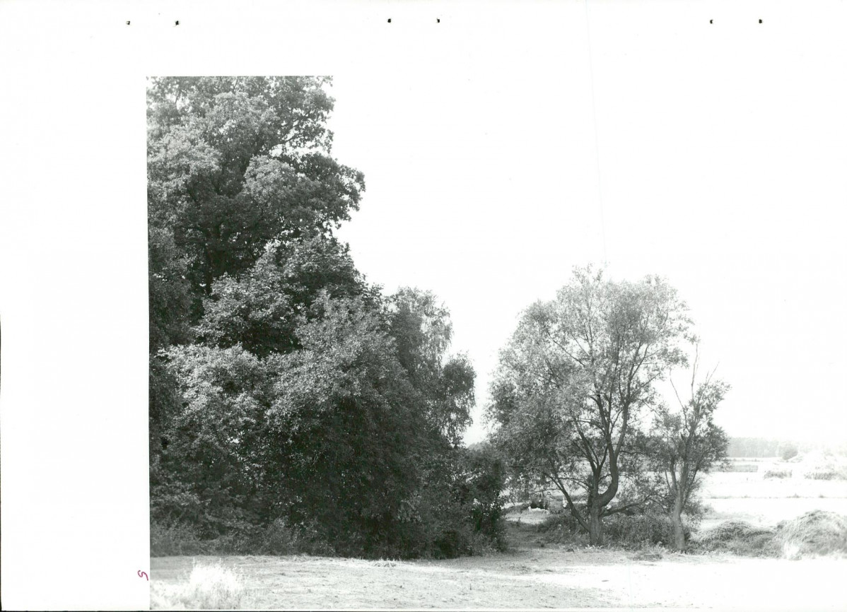 Ewidencja parkowa, skan nr 34