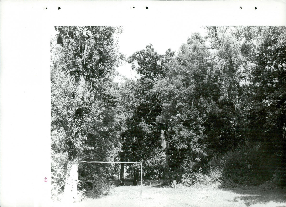 Ewidencja parkowa, skan nr 48