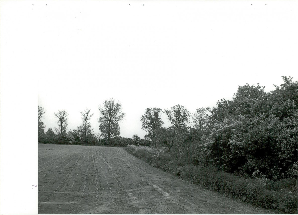 Ewidencja parkowa, skan nr 40