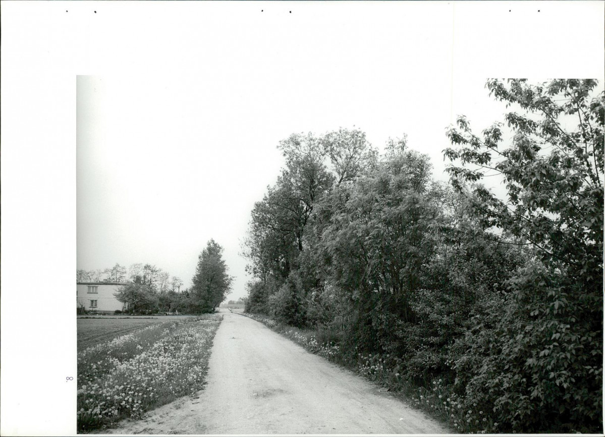 Ewidencja parkowa, skan nr 41