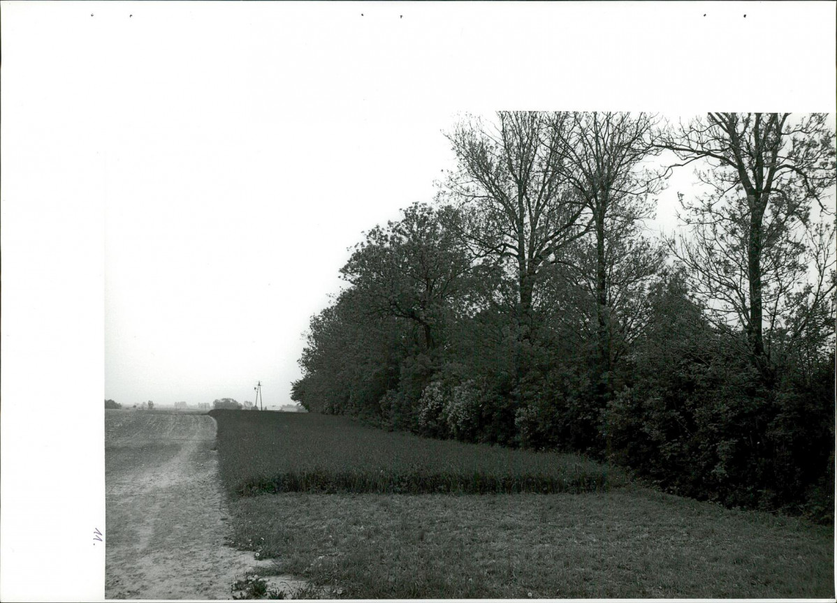 Ewidencja parkowa, skan nr 44