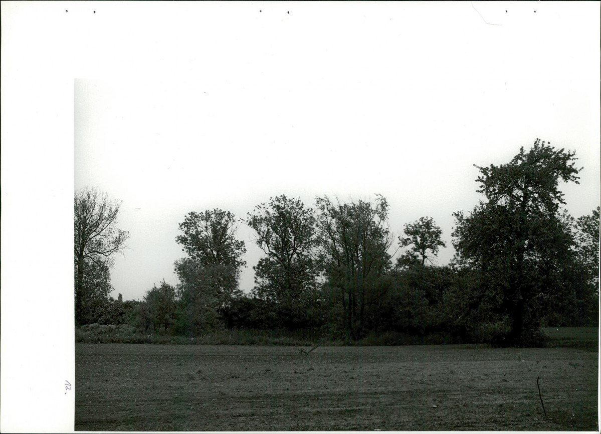 Ewidencja parkowa, skan nr 45