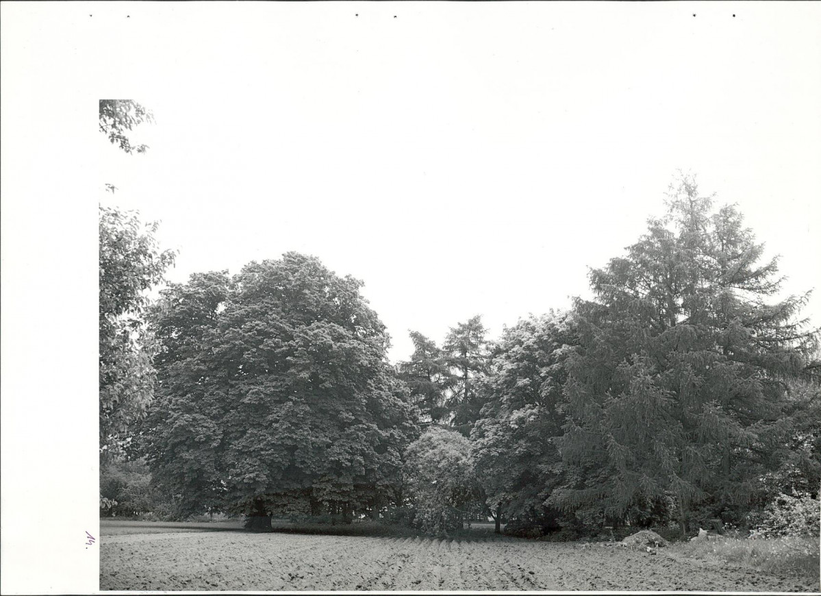 Ewidencja parkowa, skan nr 47