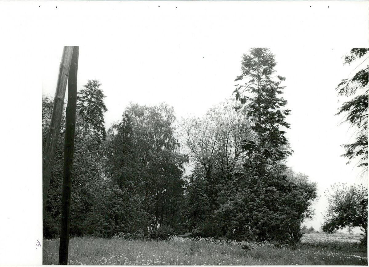 Ewidencja parkowa, skan nr 49