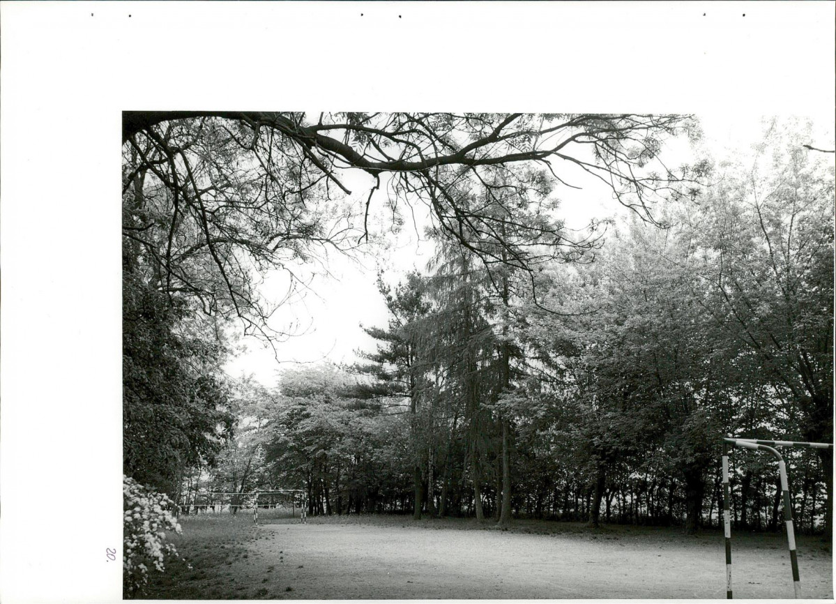 Ewidencja parkowa, skan nr 54