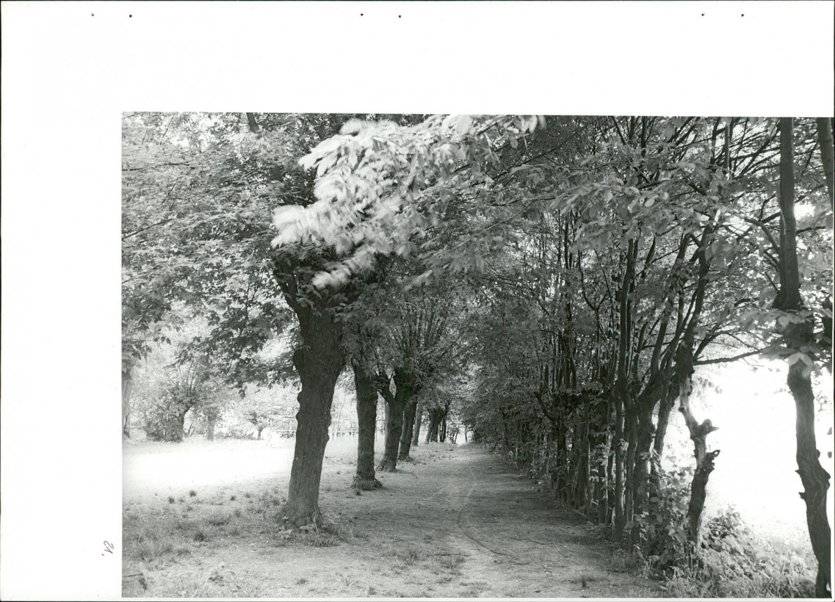 Ewidencja parkowa, skan nr 55