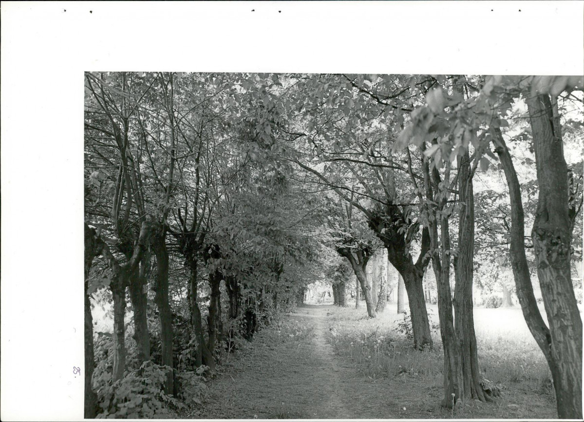 Ewidencja parkowa, skan nr 59