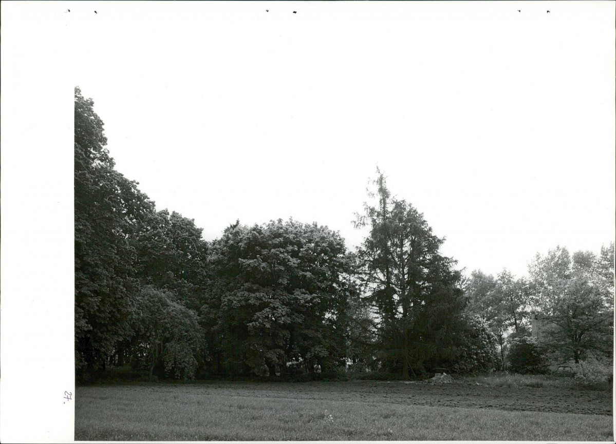 Ewidencja parkowa, skan nr 61