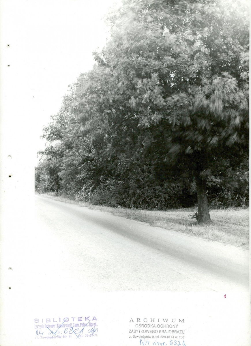 Ewidencja parkowa, skan nr 31