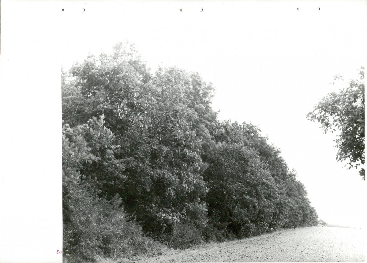 Ewidencja parkowa, skan nr 32