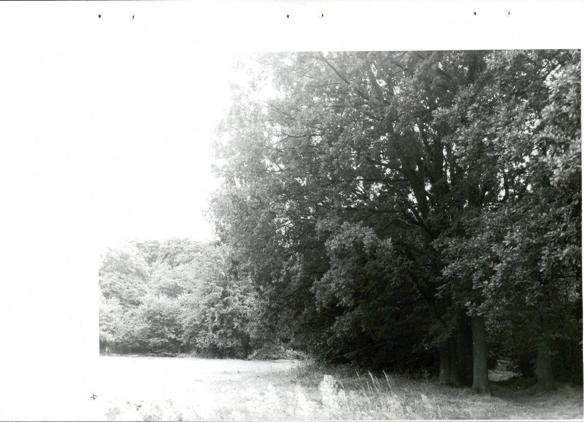 Ewidencja parkowa, skan nr 34